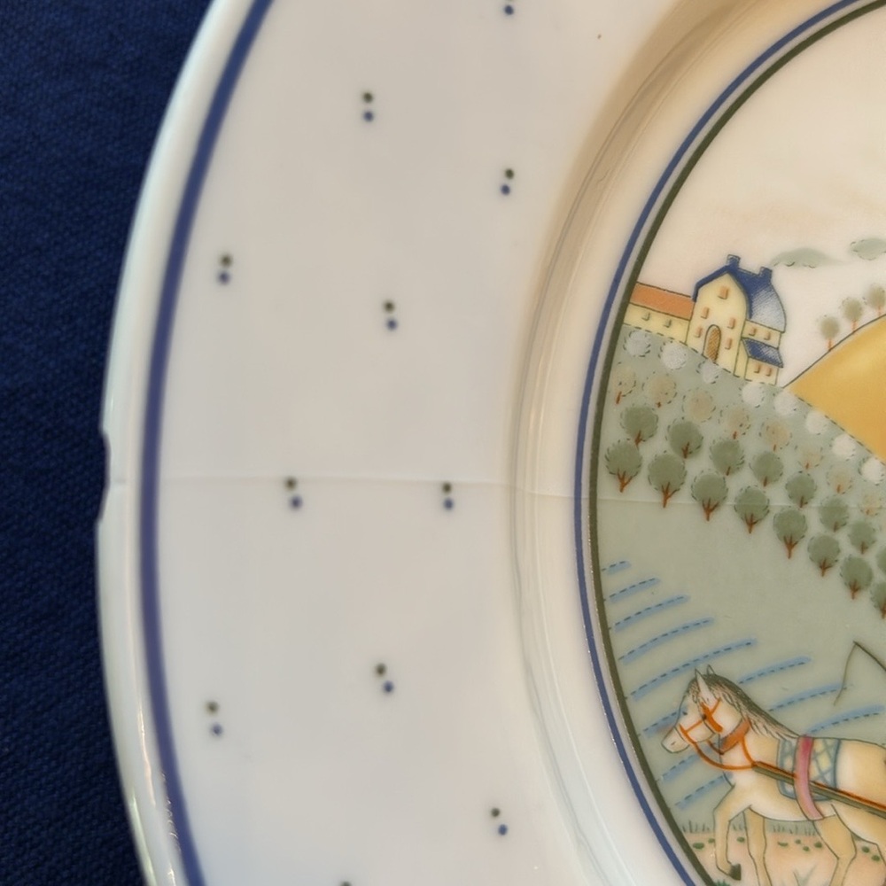 👨‍🌾 STUDIO NOVA ROLLING HILLS SINGLE PLACE SETTING W/ CHIPPED SALAD PLATE - Picture 6 of 8